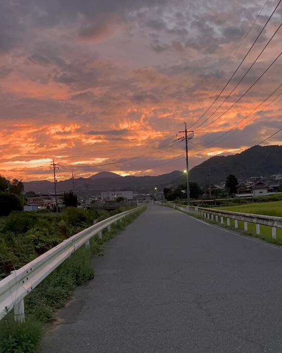 画像1001