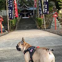 画像1016