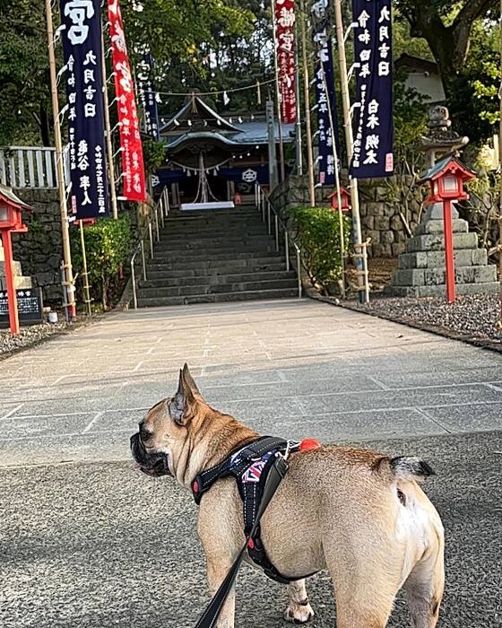 画像1016