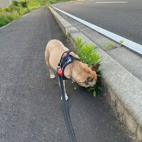 画像1023