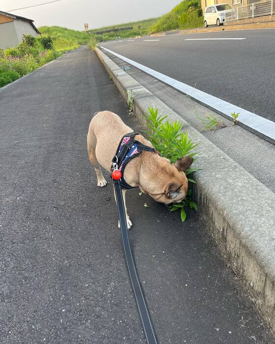 画像1023