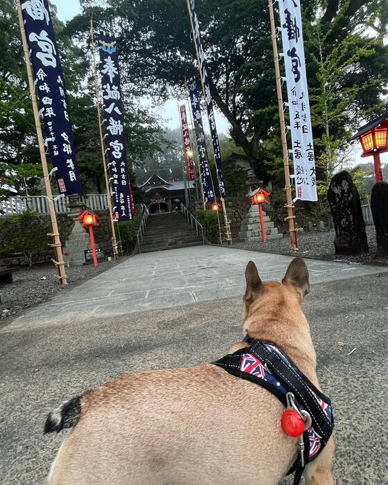 画像1032