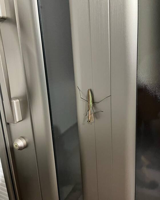 画像1118