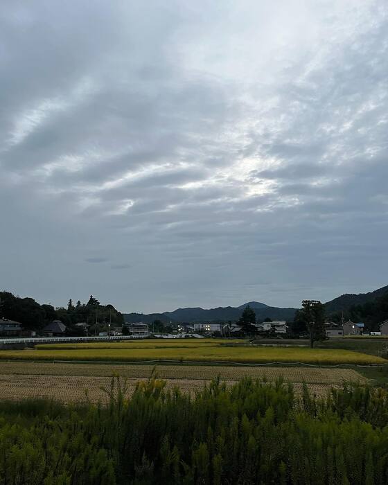 画像1145