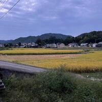画像1146