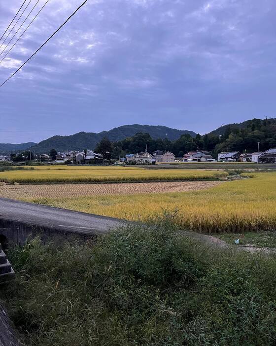画像1146