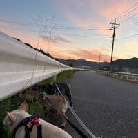 画像1216