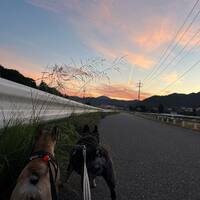 画像1217