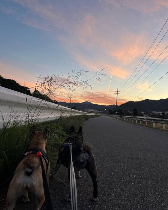 画像1217