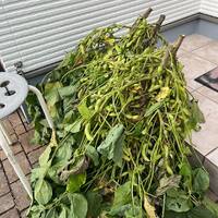 画像1238