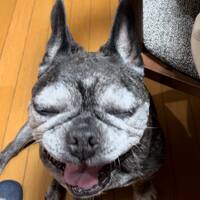 画像1256