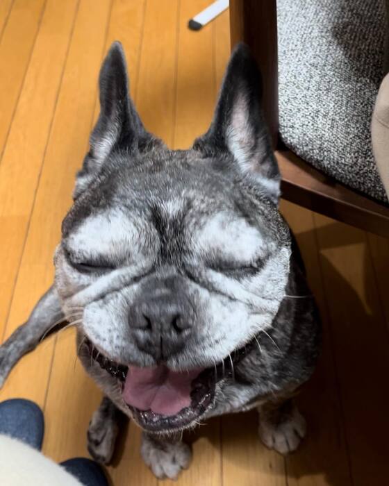 画像1256