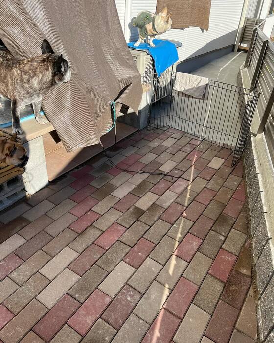 画像1415