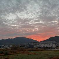 画像1451