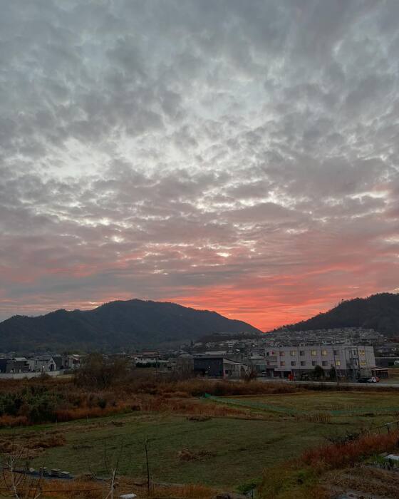 画像1451