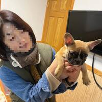 画像1472