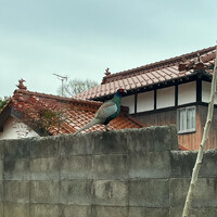 画像1578