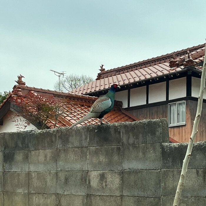 画像1578