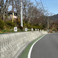 画像1635