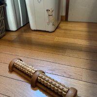 画像1660