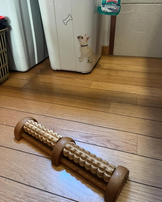 画像1660