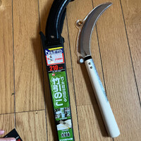 画像1672