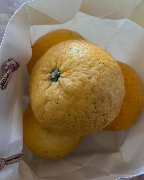 画像1758