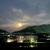 画像1784