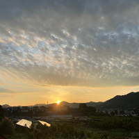 画像1810