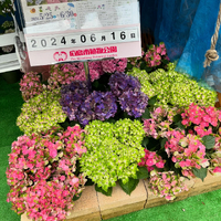 画像1830