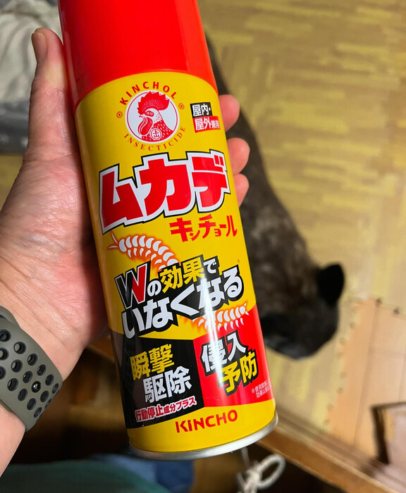 画像1865
