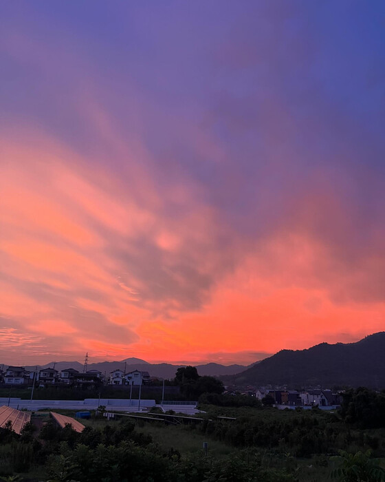 画像1986