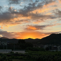 画像1994