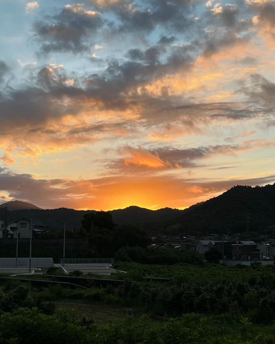 画像1994