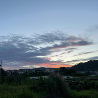 画像2017