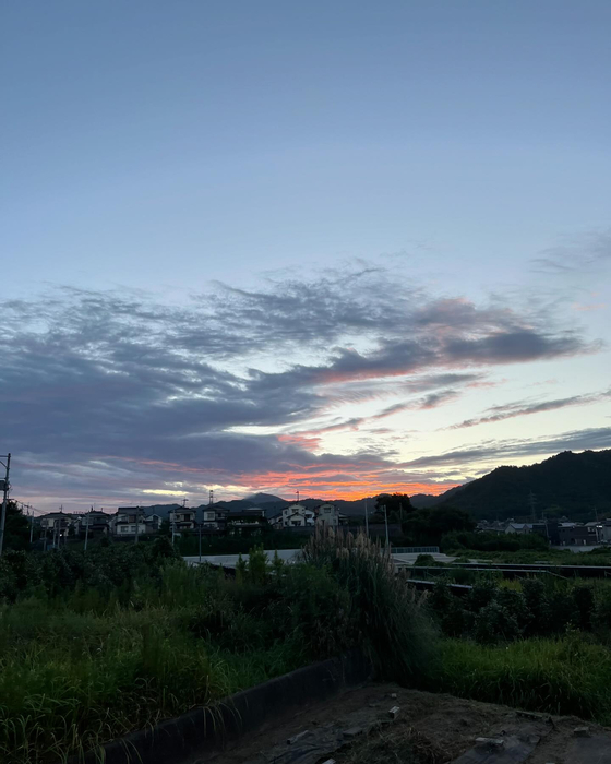 画像2017