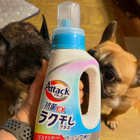画像2040