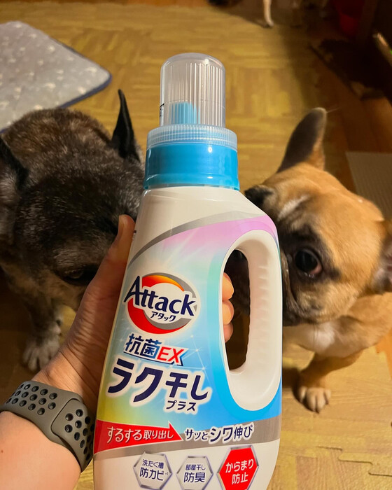 画像2040