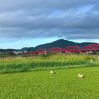 画像2103