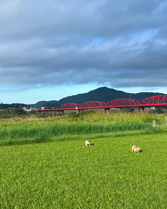 画像2103