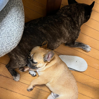 画像2105