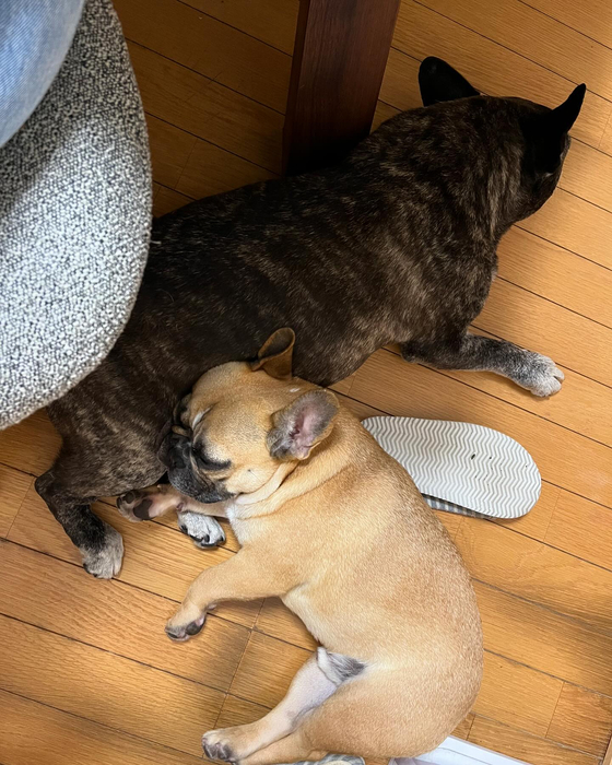 画像2105