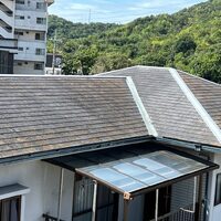 画像311