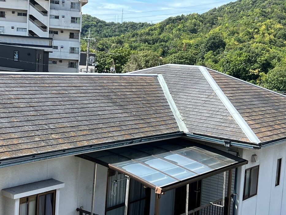画像311
