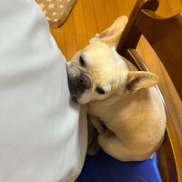画像368