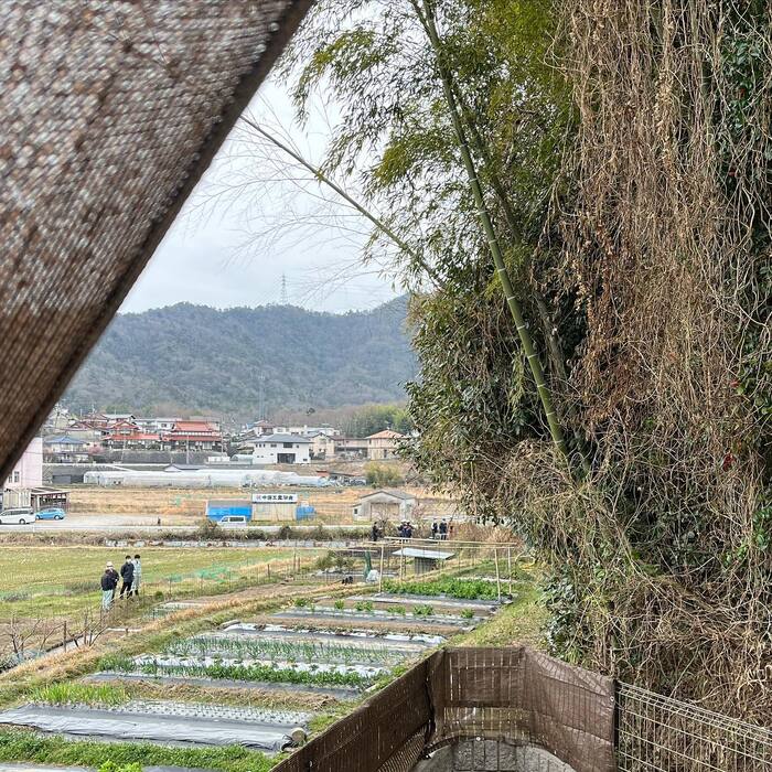 画像370