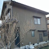 画像375