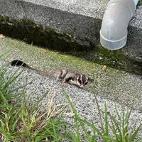 画像469