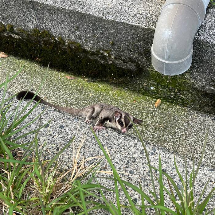 画像469