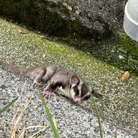 画像470